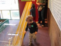 IMG_2030